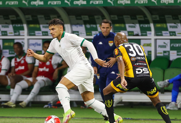 Palmeiras Vence Novorizontino E Vai Disputar A Final O Santos Neste