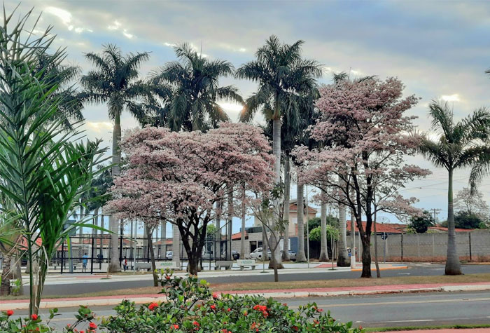 Gavião Peixoto antigo distrito de Araraquara é apontada hoje como a