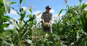 Prazo para adesão ao programa de dívidas do Funrural termina em 30 de abril Dividas Funrural