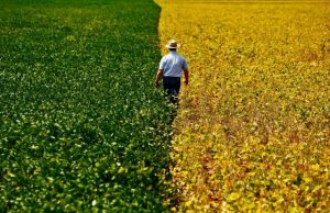 Seminário sobre Agronegócio Brasileiro em São Paulo Agronegocio Brasileiro