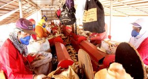 Palha do milho gera renda aos assentados do Bela Vista Assentados Palha Producao