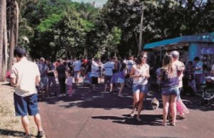 Álbum e figurinhas da Copa do Mundo triplicam vendas em banca de jornal Figurinha