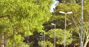 Jardim Botanico