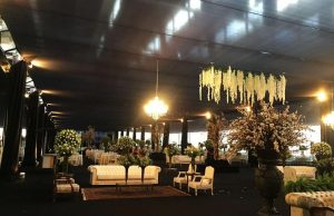 Morada do Sol Turismo S/A fecha 2017 com acréscimo de 64% na receita de eventos Morada do Sol SA Int