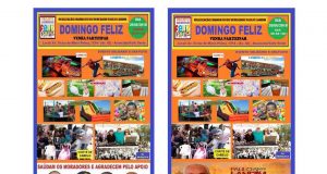 Festa no Valle Verde: ação social ou festa política? Panfletos Domigo Feliz