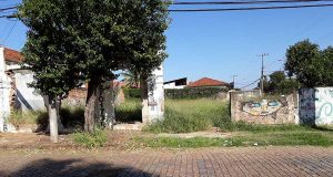 Porsani cobra solução para terreno abandonado no Carmo Porsani Terreno 2