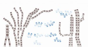 Território da Arte de Araraquara começa nesta quarta-feira croqui paisagem Silvia Ruiz