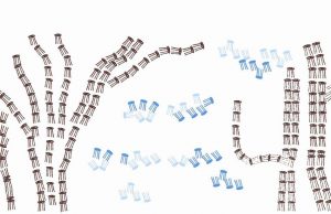 croqui paisagem Silvia Ruiz