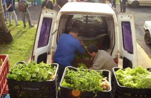 Novo programa vai beneficiar famílias em situação de vulnerabilidade Agricult Distri