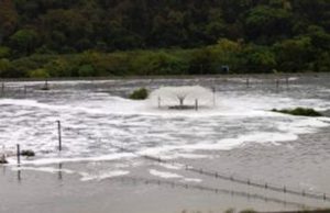 Valor da cobrança do esgoto é questionado na Câmara Esgoto Ete