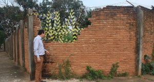 Instituto de Psiquiatria Interna