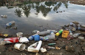 Poluição plástica é tema do Dia Mundial do Meio Ambiente 2018 Lixo Plastico