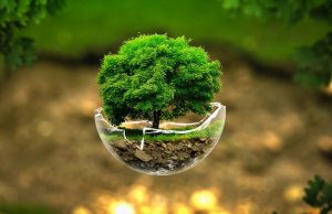 Plataforma digital para o controle dos resíduos industriais Natureza