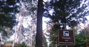 Pinheirinho