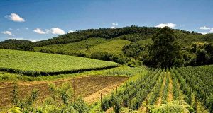 Regularizacao Terras