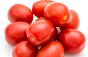 Araraquara: o tomate como fonte de renda para o pequeno produtor
