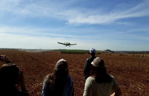 Dia de Campo Interna