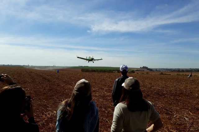 Dia de Campo Interna