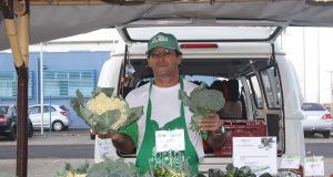 Feira do Produtor Rural Interna