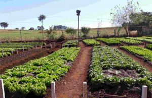 Reintegração Social é o compromisso da Associação São Pio Figura2