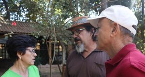 Roda de Fogo 05