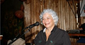 Feira de Produtos e o Circuito dos Sabores serão lançados neste domingo Turismo Rural 11