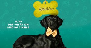 Jaraguá realiza mais uma feira de adoção de pets. Não perca. Adote