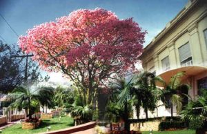 Mau tempo adiou a Caminhada fotográfica. Ficou para o dia 11. Caminhada Fotografica 01