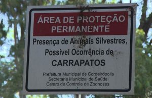 Febre Maculosa já causou 17 mortes em São Paulo em 2018 Febre Maculosa 02