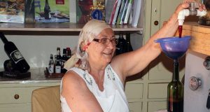 Vila Xavier: La donna che fa il suo vino Festa do Vinho 01