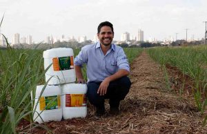 Cana produtiva e saudável com a Linha Longevus que revoluciona o mercado Cana 37