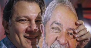 Fernando Haddad 34