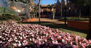 É flor que não acaba mais para as boas-vindas à Primavera na Expoflora Flor 22