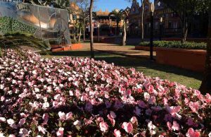 É flor que não acaba mais para as boas-vindas à Primavera na Expoflora Flor 22