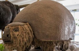 Gigantes da Era do Gelo continuam no Shopping Jaraguá Shopping 48