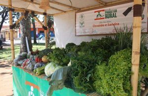 Américo abre neste sábado na Praça do Coreto a sua Feira do Produtor Rural Feira Americo 03