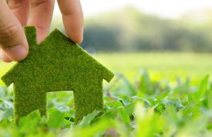 Benefícios do IPTU Verde podem ser requeridos até 21 de outubro Iptu Verde 15