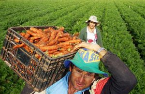 “Superministério da Agricultura de Jair Bolsonaro. Como seria?” Lavoura 17