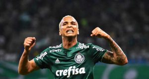 Palmeiras 35