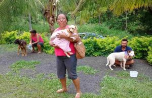 Questionamentos sobre o Ambulatório Veterinário Pinheirinho 10