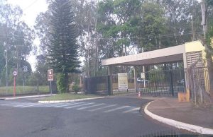 Rugby de Araraquara continuará com campo no Pinheirinho Pinheirinho Araraquara