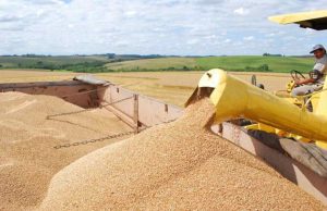 Valor da Produção Agropecuária é de R$ 578,2 bilhões Agro 47