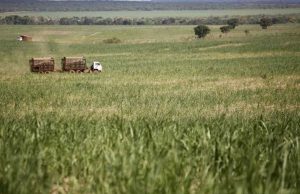 Cosan aposta em preço mais alto do etanol na entressafra Cosan 35