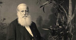 Visita de Dom Pedro II a Araraquara completa nesta terça 132 anos Dom Pedro 20