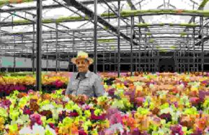 Estamos vivendo agora o tempo da economia verde Economia Verde 01