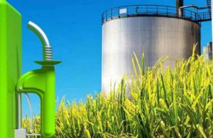 Bolsonaro apoia setor de etanol e promete parceria Etanol 26