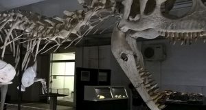 Após incêndio no RJ, museus abrem as portas para refletir história e ciência MUSEU02