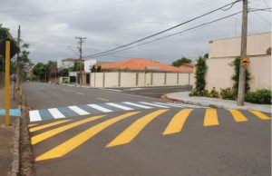 Vias do Botânico ganham melhorias em sinalização Roger Mendes 303