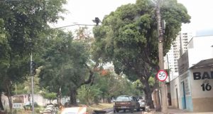 Prefeitura anuncia R$ 2.654.800,00 em lombadas, correções de traçados e guias rebaixadas Semaforo 44