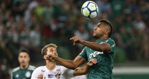palmeiras fluminense